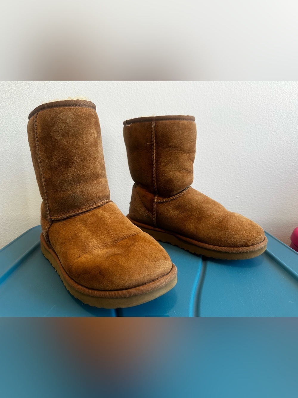 UGG Cream Shearling-Lined Boot Interior - size 7